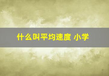 什么叫平均速度 小学